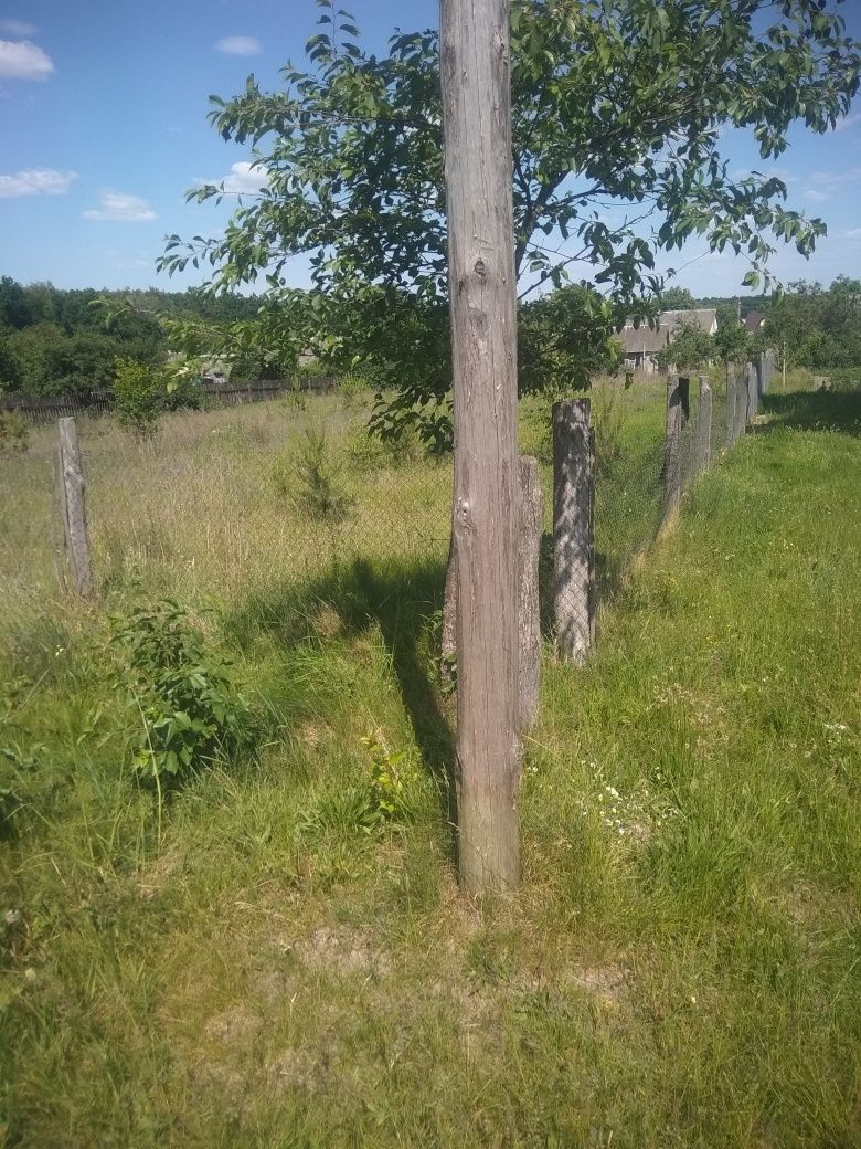 Земельна ділянка