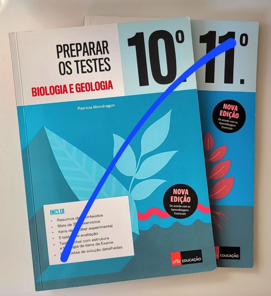 Cadernos de atividades / Preparação para exames