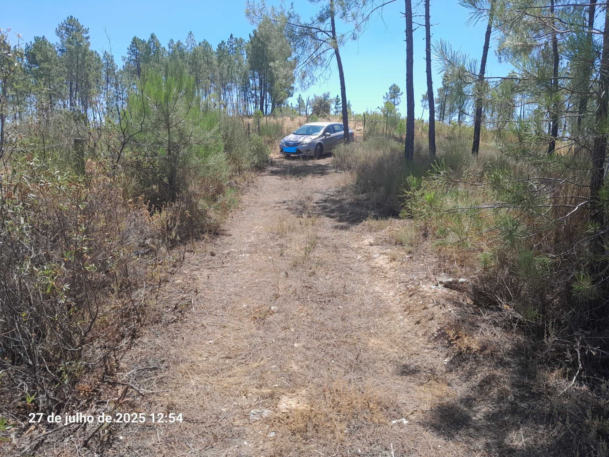 Terreno Mendares (Castelo Branco)