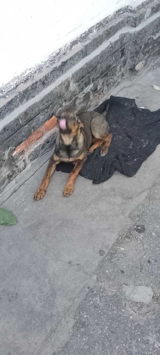 Супер класнюча позитивна Карамелька