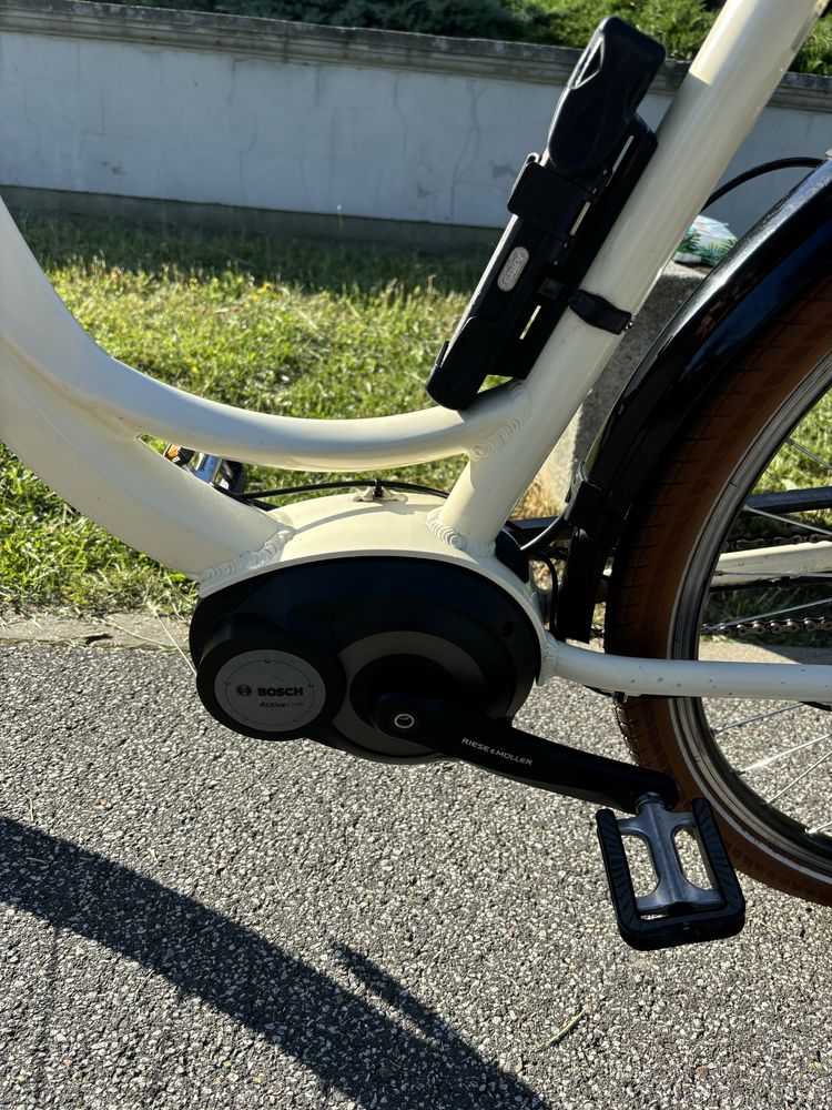 Rower Riese&Müller Swing
