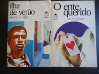 2 livros Unibolso - Ilha de Verão e O Ente Querido