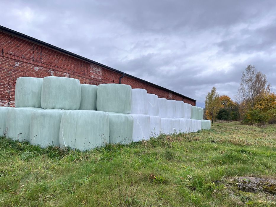Sprzedam baloty sianokiszonki – tegoroczne