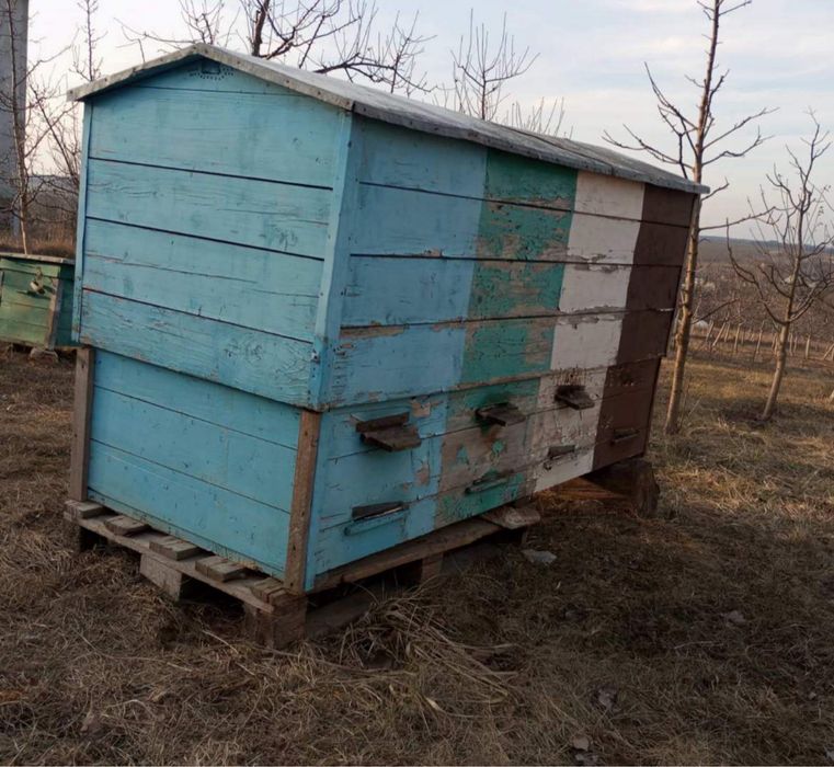 Продам епі домік з бджолами