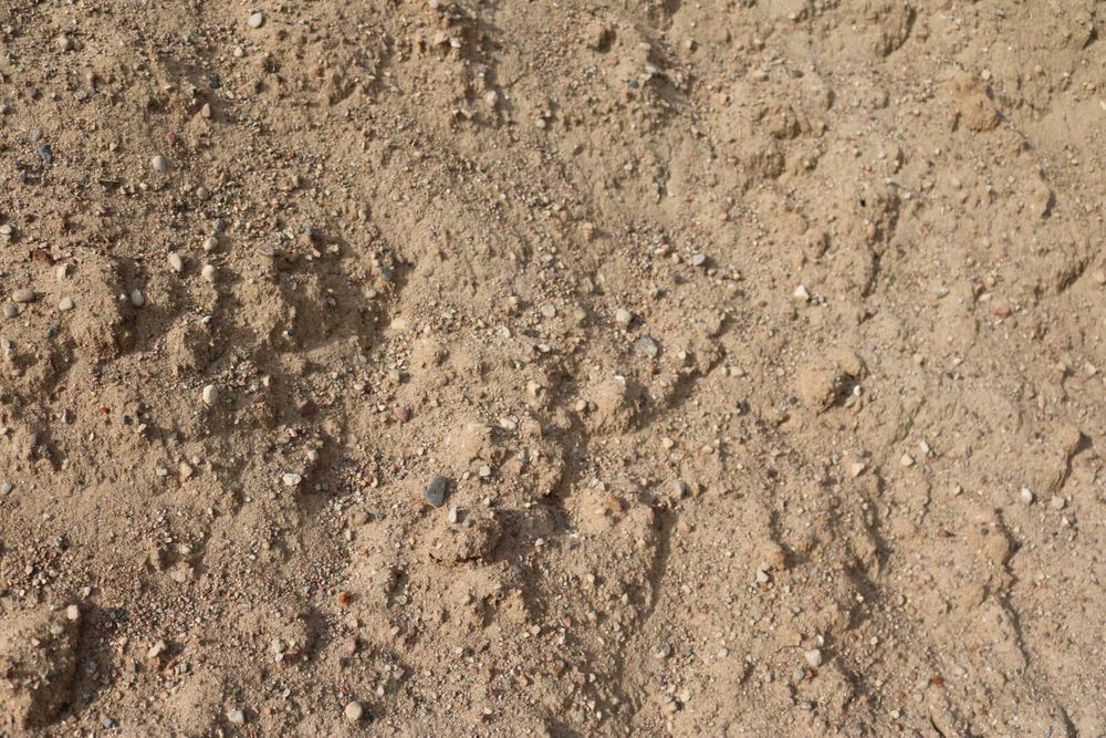 Piasek żwir pospółka Elbląg Braniewo Stegna Krynica Morska Ostróda