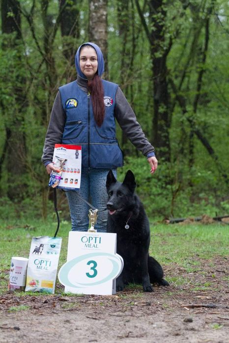 Дресирування собак, кінолог