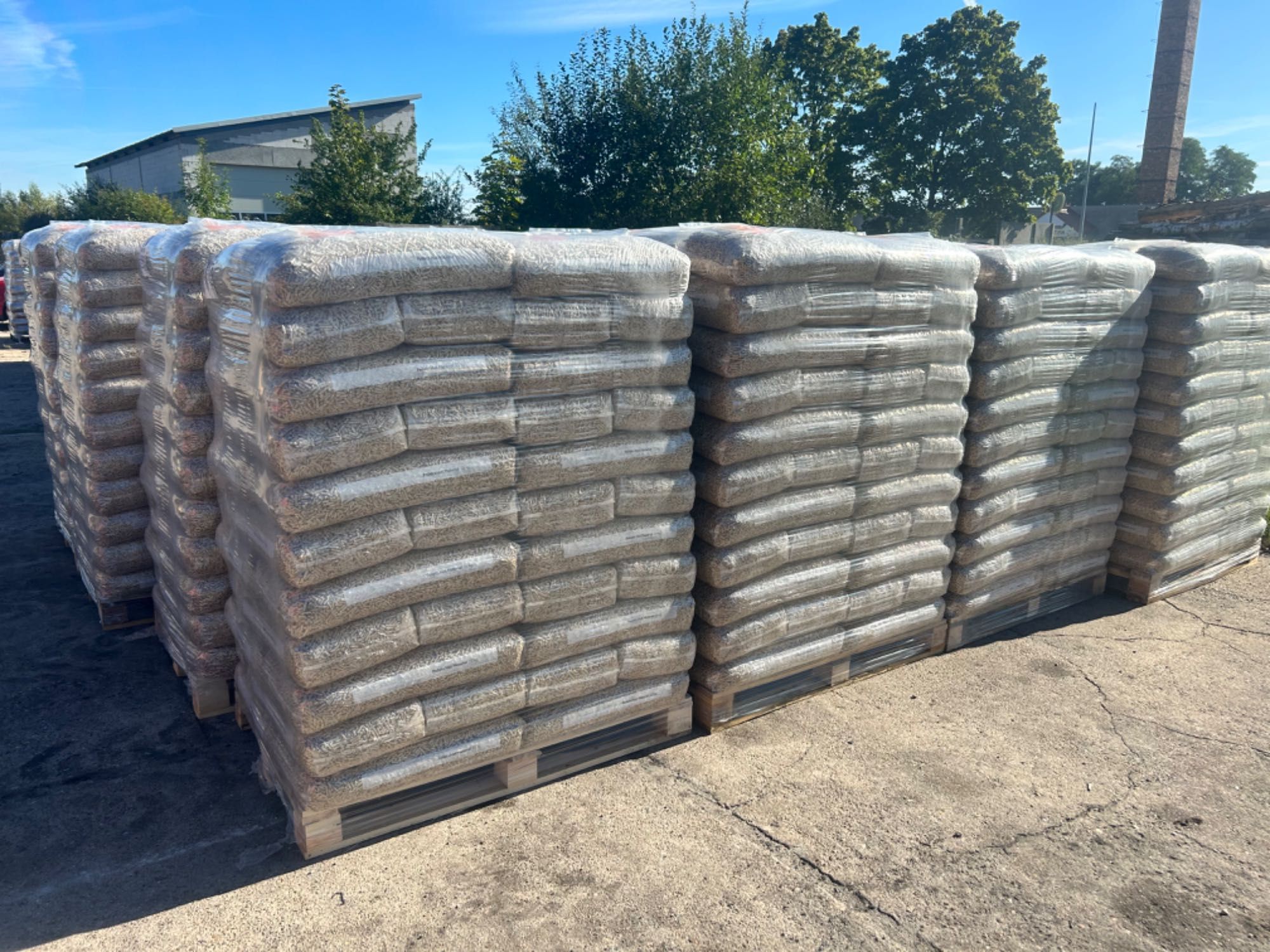 Pellet Niemiecki  TIMBER