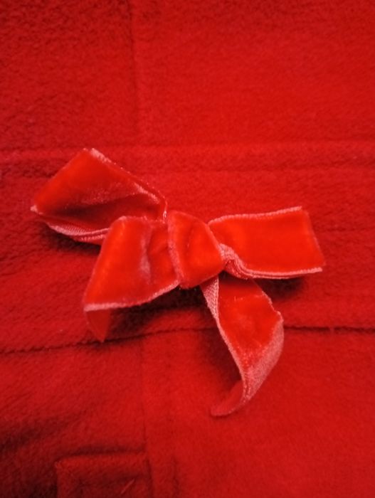 Płaszczyk jesienny dla dziewczynki rozmiar 74.