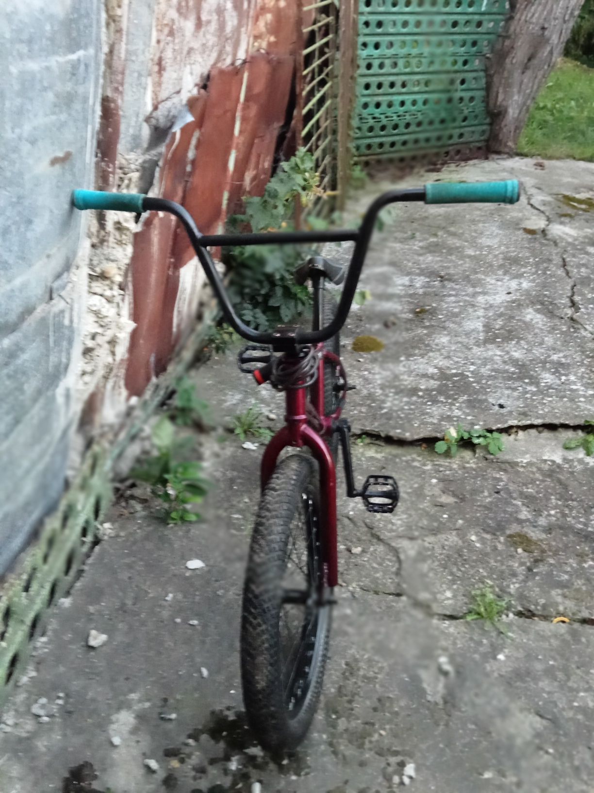 BMX dirt/streetㅤㅤㅤ