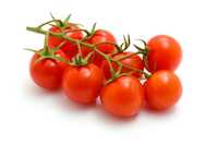 POMIDOR MALINOWY mały GAŁĄZKA cherry - Sadzonki pomidora/rozsa