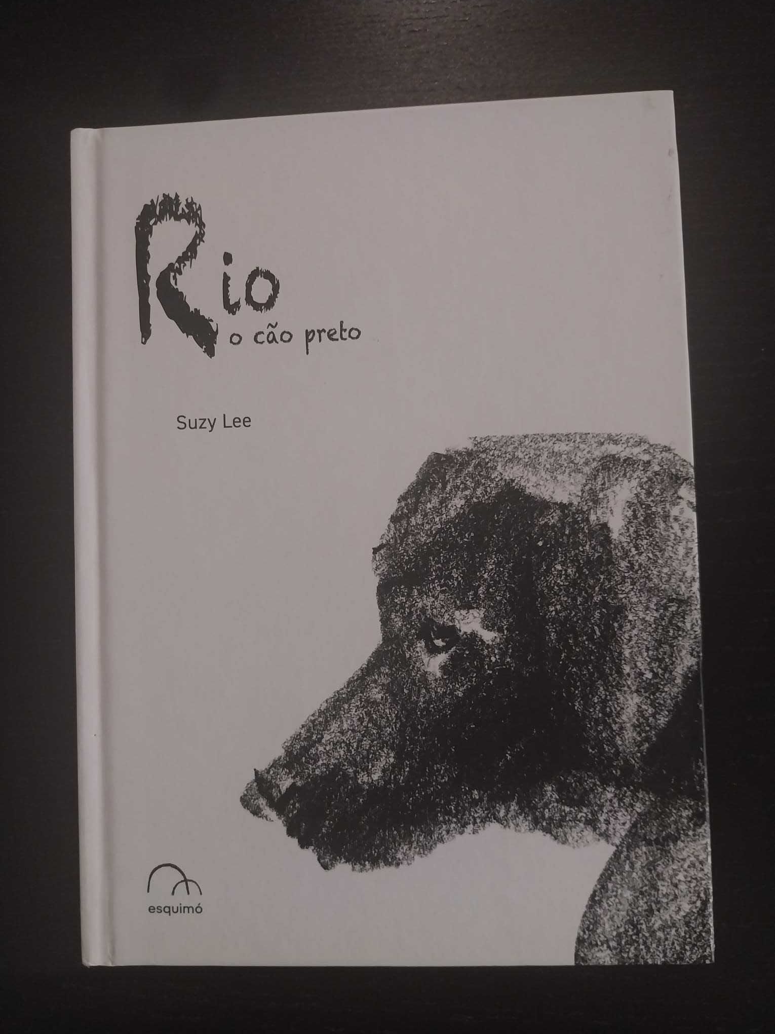 Livro infantil “Rio, o Cão Preto” – Suzy Lee