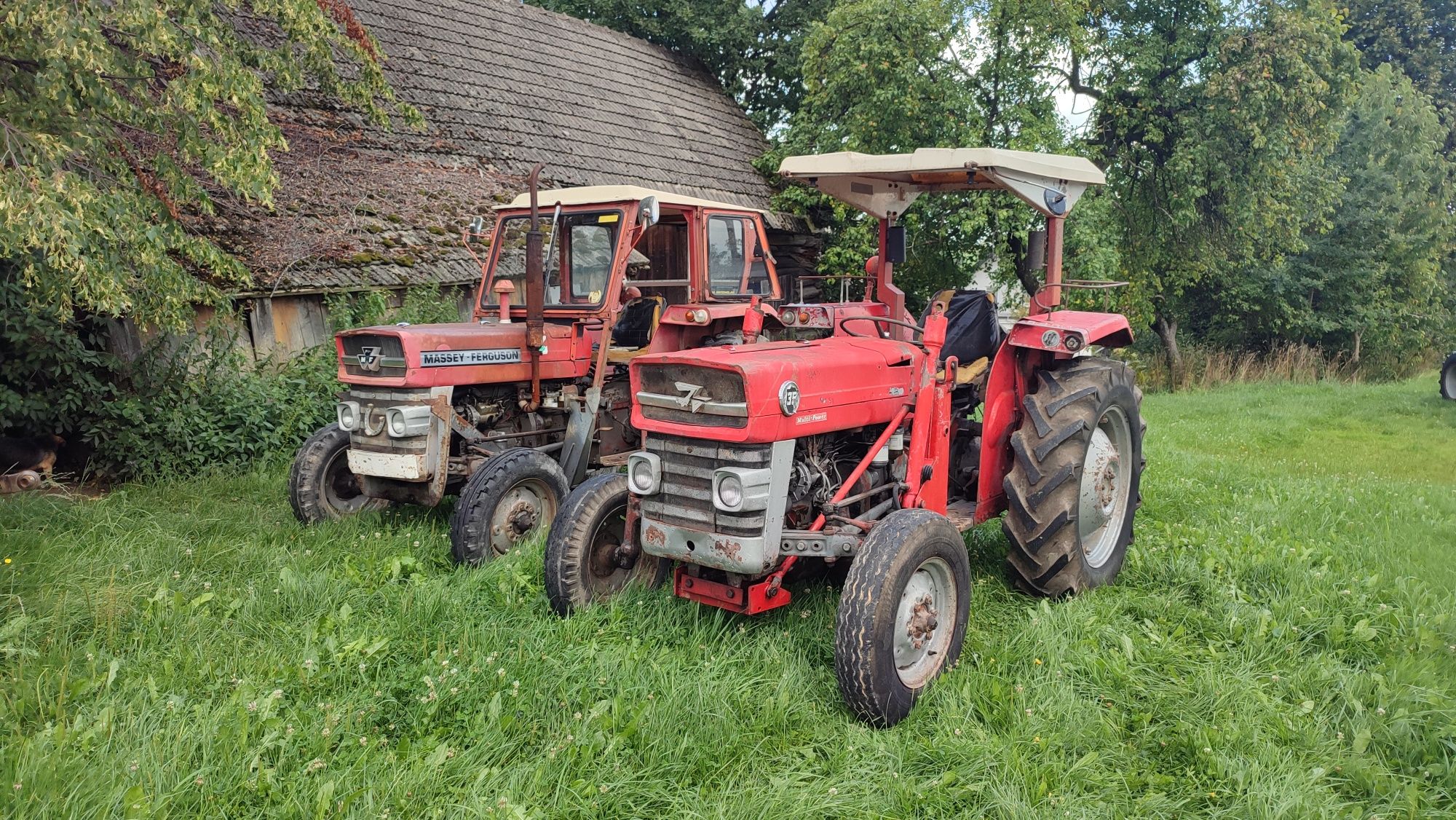 Massey Ferguson 135