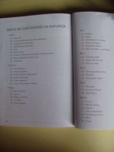 O Deus das Maravilhas - Meditações Matinais de David A. Steen