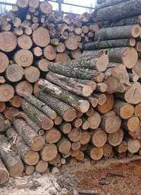 продам дрова твердопалевні