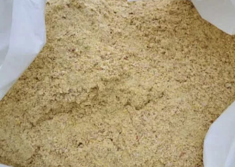 Kukurydza mielona CCM