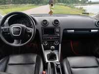 Audi A3 8P 2.0 TDI