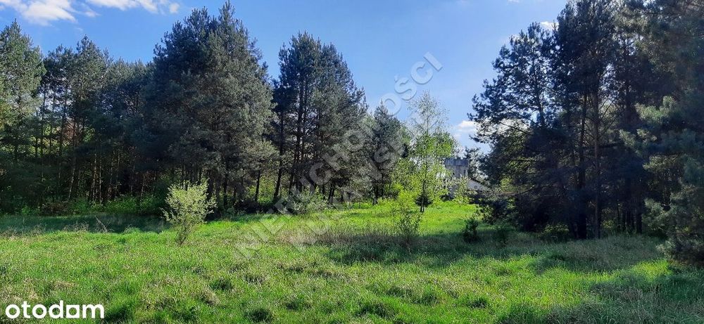 Nieruchomość letniskowo - rekreacyjna 1,1ha, budynki 130m2, staw 730m2