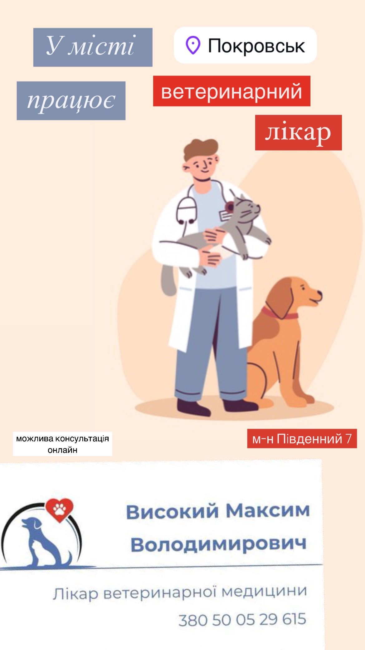 Ветеринарный врач (консультация, лечение животных)