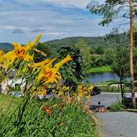 Bieszczady góry noclegi wakacje pies woda domek apartamenty wypoczynek