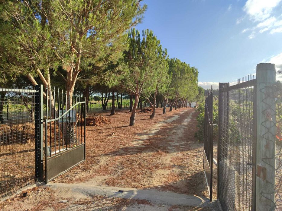 Arrendo quinta com casa remodelada no campo perto de Almeirim