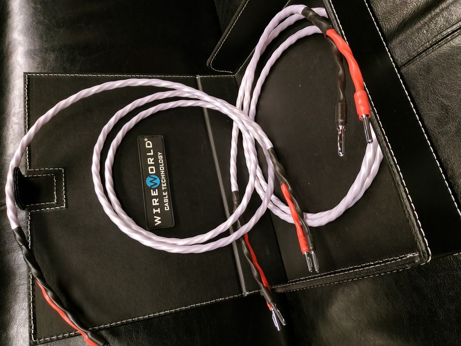 WireWorld Luna 8 konfekcja kable głośnikowe Trans Audio Hi-Fi Wrocław