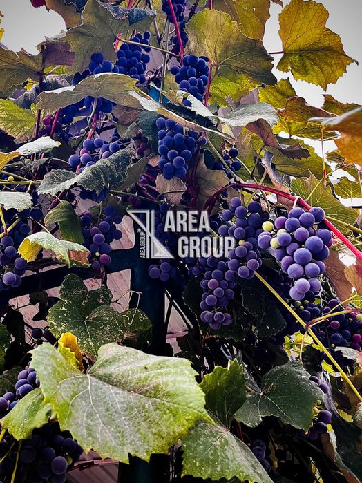 Продається будинок біля школи у Мукші Китайгородській (Жовтневе)