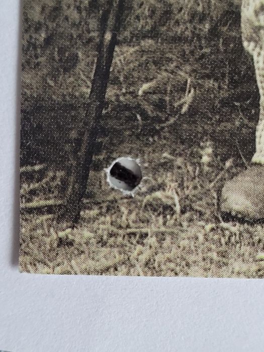 relikwie psstuszków z  Fatimy