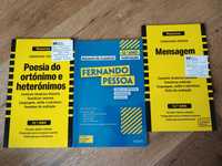Livros de Resumos - 12° ano, Português