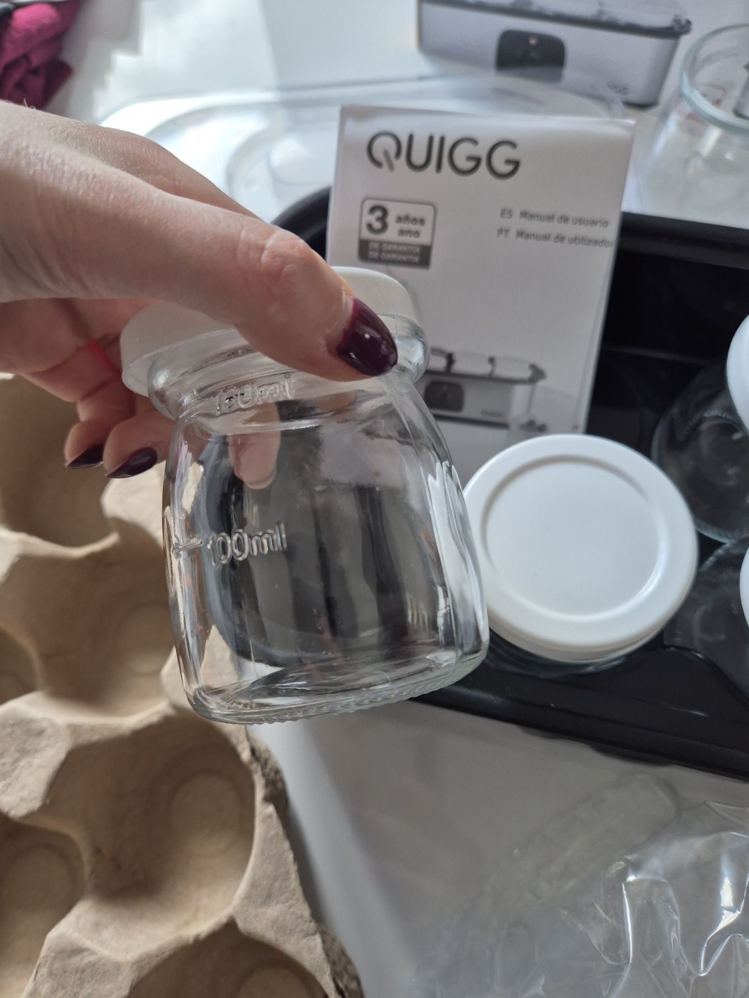 Iogurteira quigg