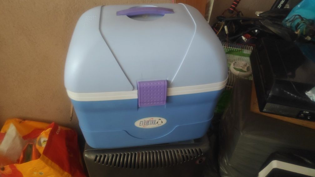 Geleira arca portátil 12v