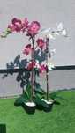 Sztuczny storczyk orchidea Ikea Fejka 70 cm - 2 sztuki