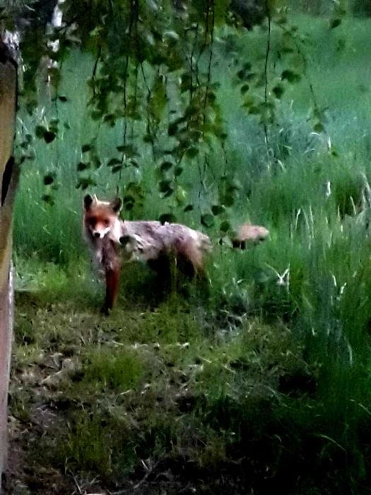 Domek w Radęcinie-wynajem-Nowy Rok 2025  - 31.12 do 04.01 (2500zł) 8os