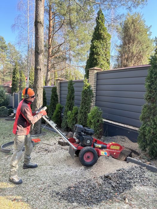 Видалення дерев,Спил дерев,Зрізання дерев,Кронування пнів