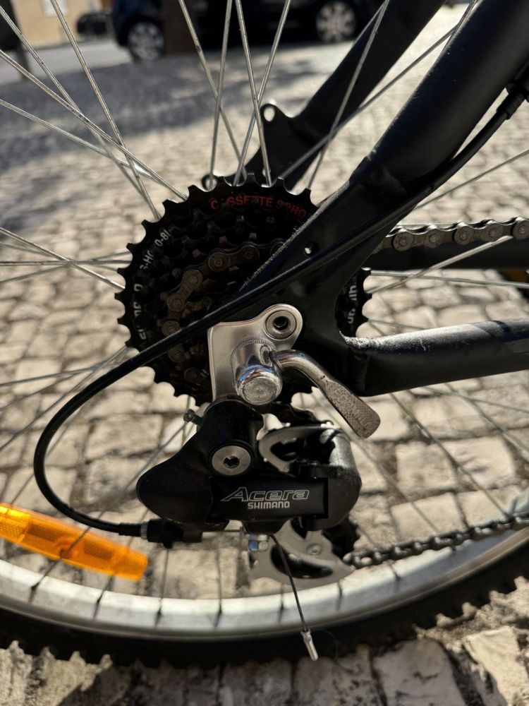 Bicicleta montanha Berg