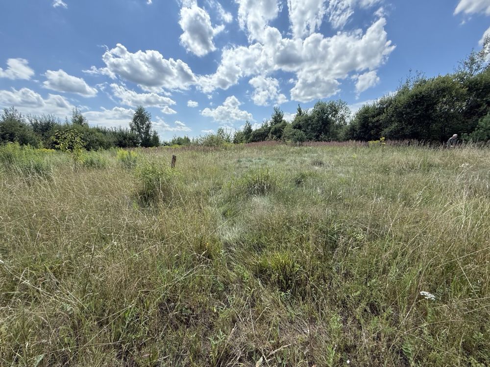 Продаж земельної ділянки — с. Хоросно, Львівська область