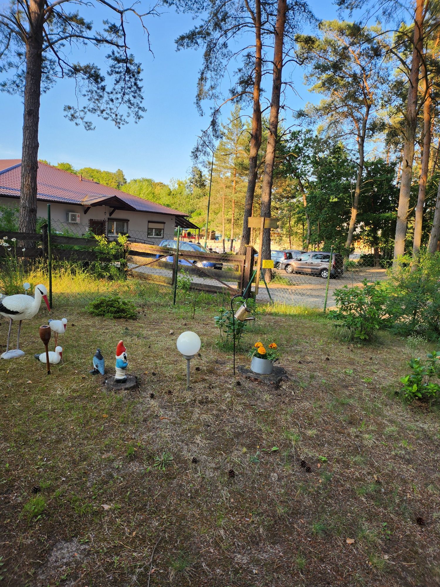 Domki letniskowe nad jeziorem Sarcz w Trzciance Wolne terminy