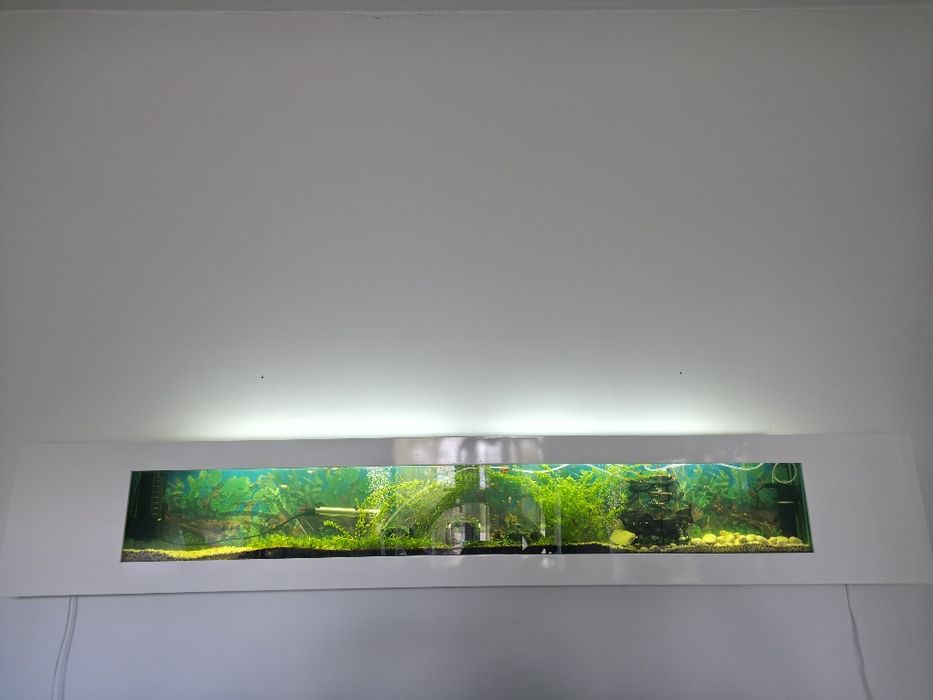 Akwarium ścienne