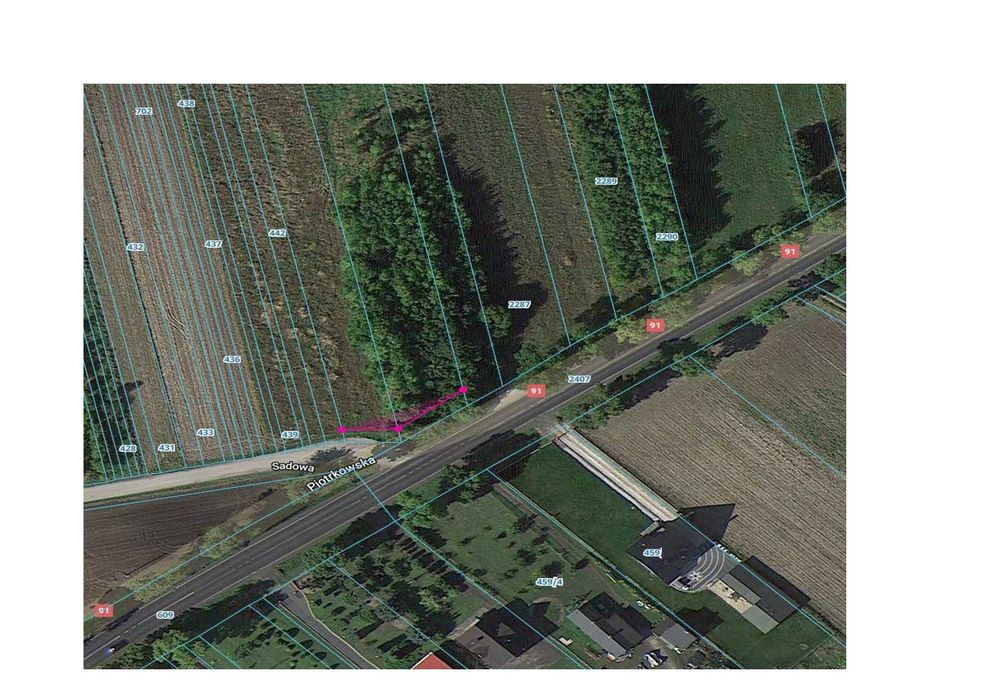 Niechcice działka budowlana 1,5 ha