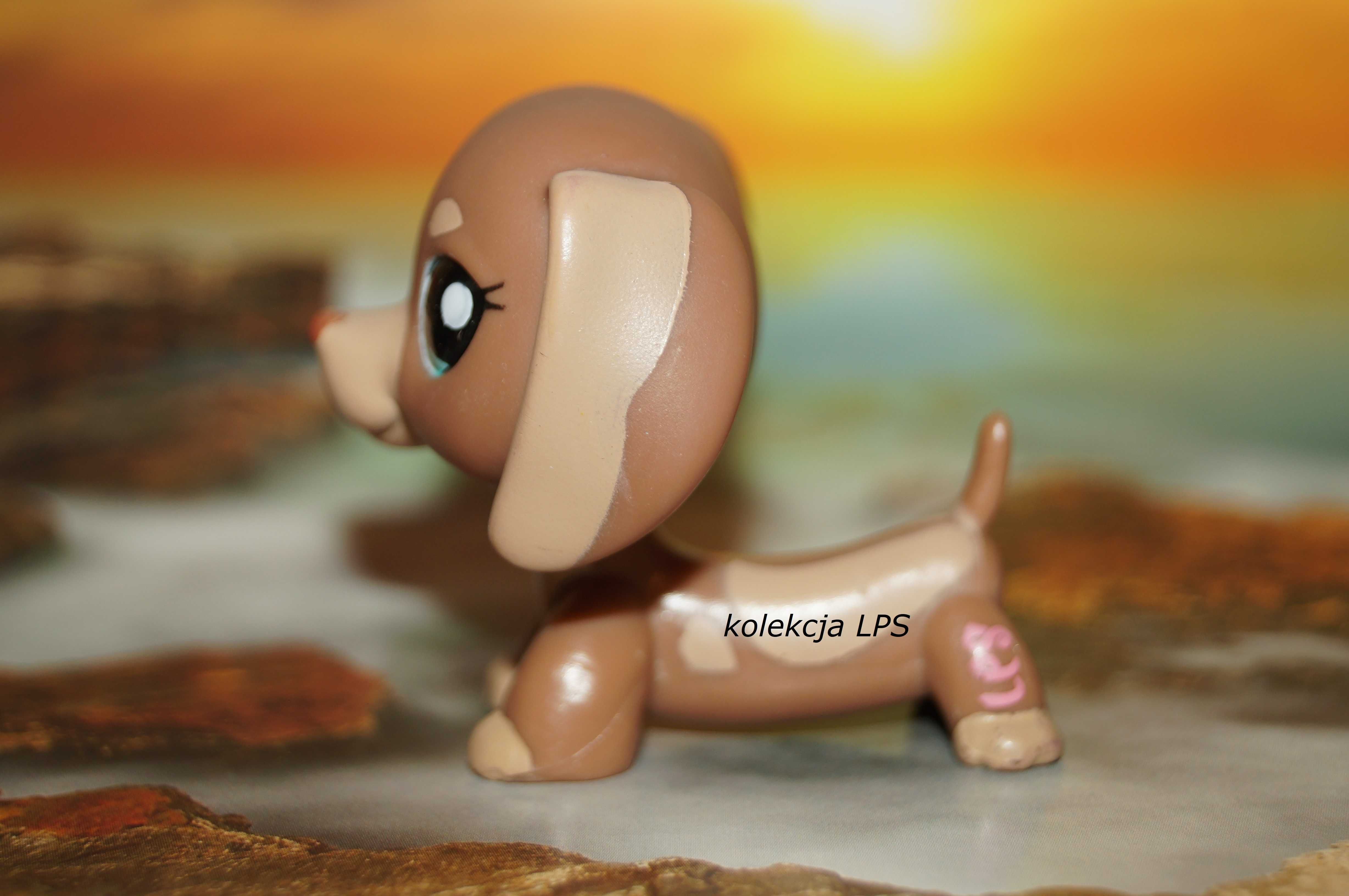 LPS Littlest Pet Shop jamnik #1751 oryginalny pop oryginał kawa