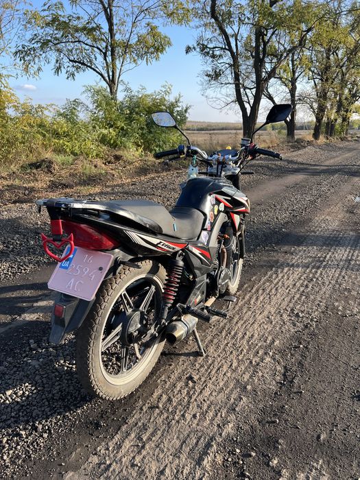 Musstang fortuna 200