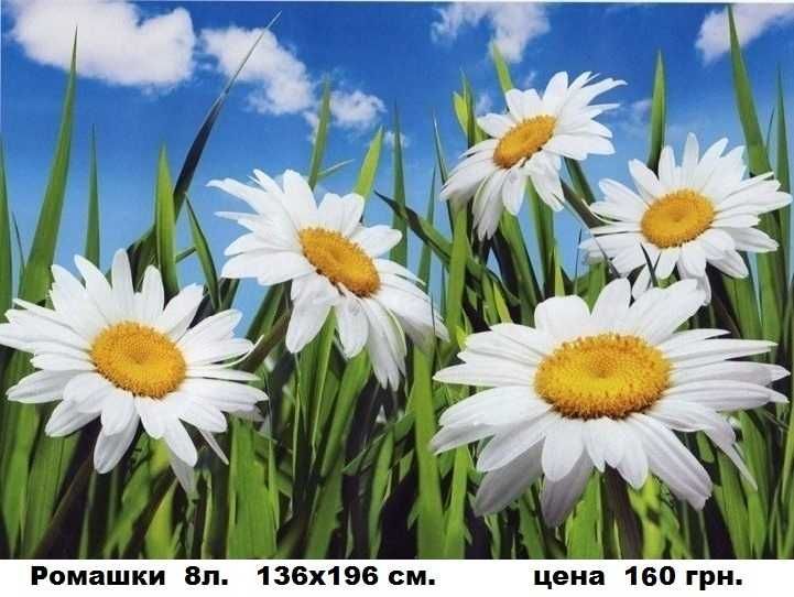 Глянцевые фотообои. Отличное качество! Цена за всю картину. Обои.