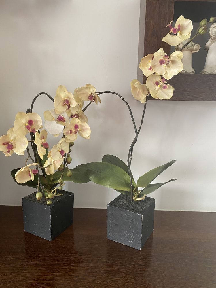 Vasos de orquídeas