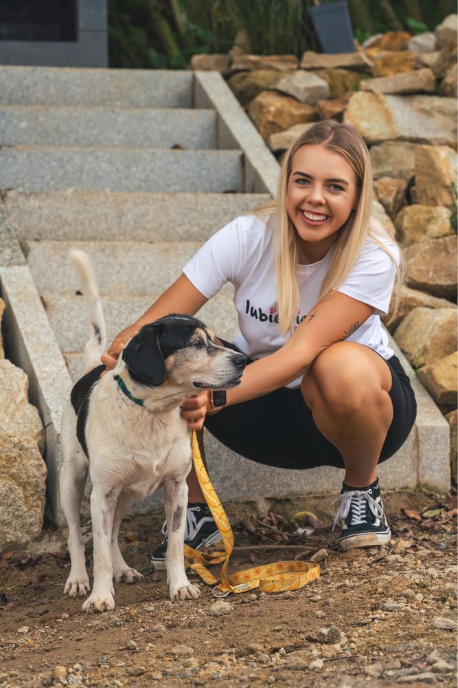 Cezar - Szlachetny pies potrzebuje kochającego opiekuna!