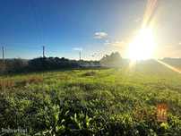 Lote de Terreno Urbano em Casalinhos de Alfaiata com 660m2