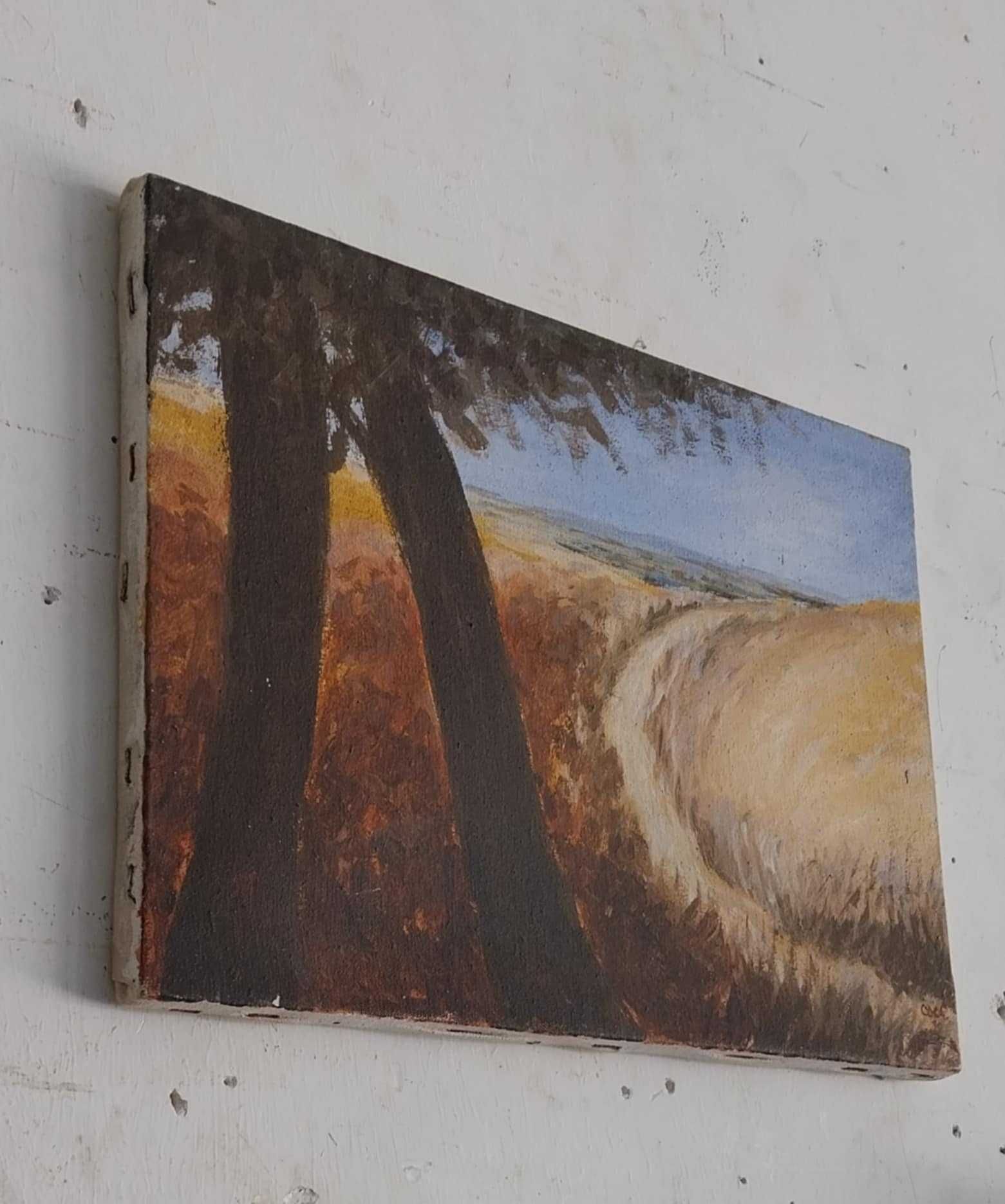 Óleo sobre Tela 33 x 24 "Paisagem Alentejana?" Assinado "Coca80"