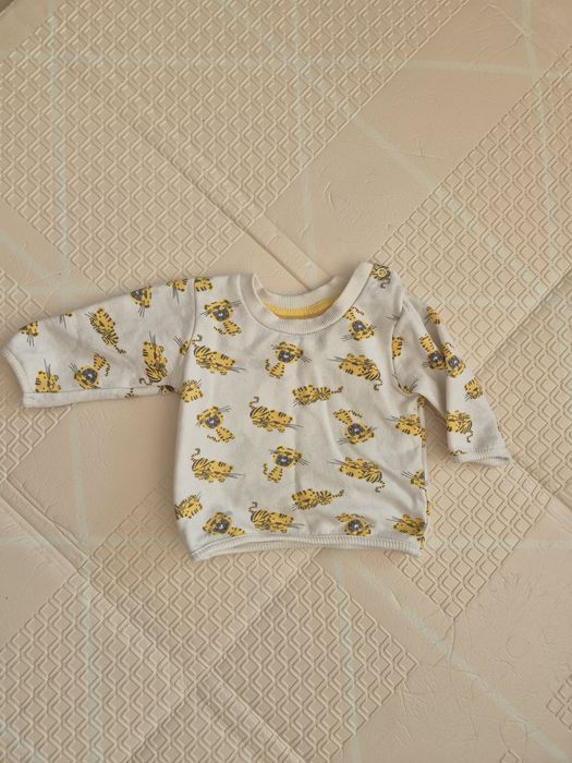 Bluza Ergee beżowa lew lwy dla chłopca rozm. 62