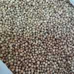 Продам кориандр целый, половинка, молотый