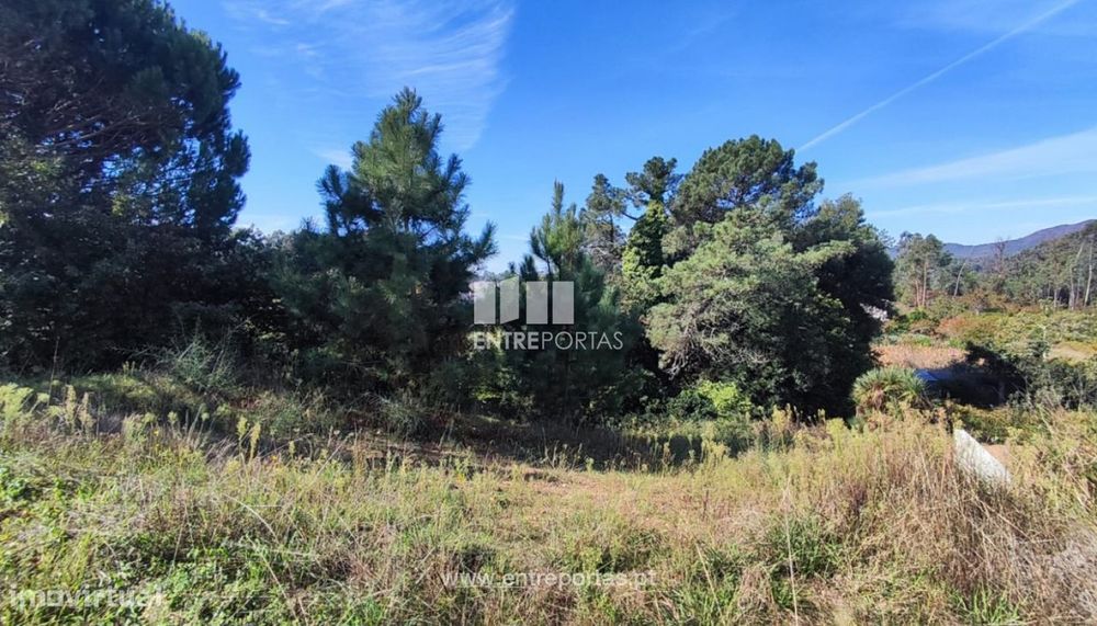 Venda de Terreno para construção de moradia individual, Vila Mou, Vi