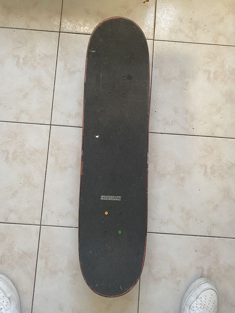 Skate: PalaceDuck& Dog8.0 Deck