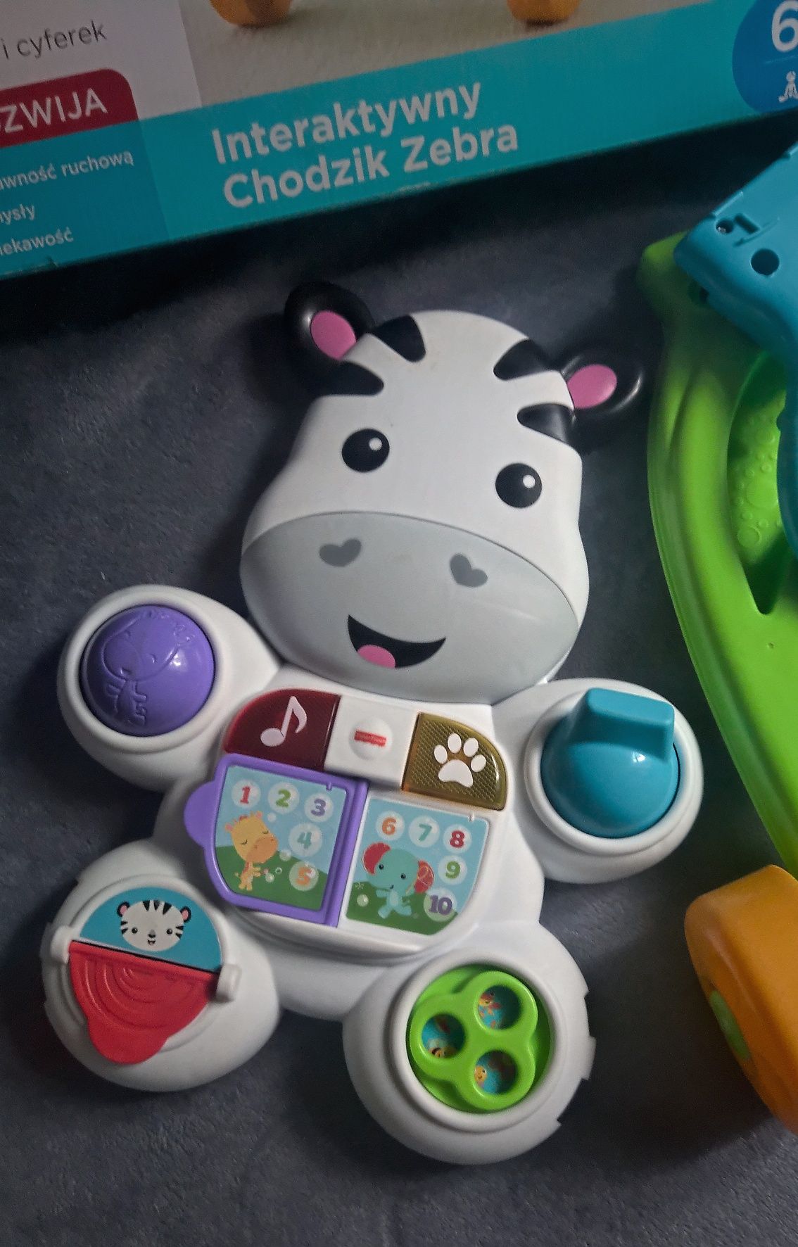 Pchacz Fisher Price zebra chodzik